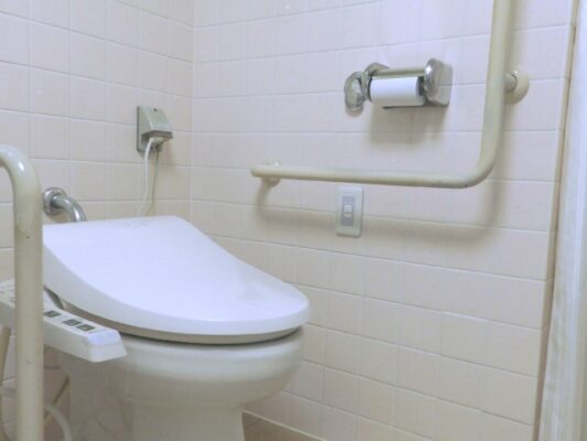 介護トイレのリフォームはどんな方法がある？手摺り設置、段差解消、床材など (2)