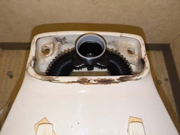 ディストリビューター交換